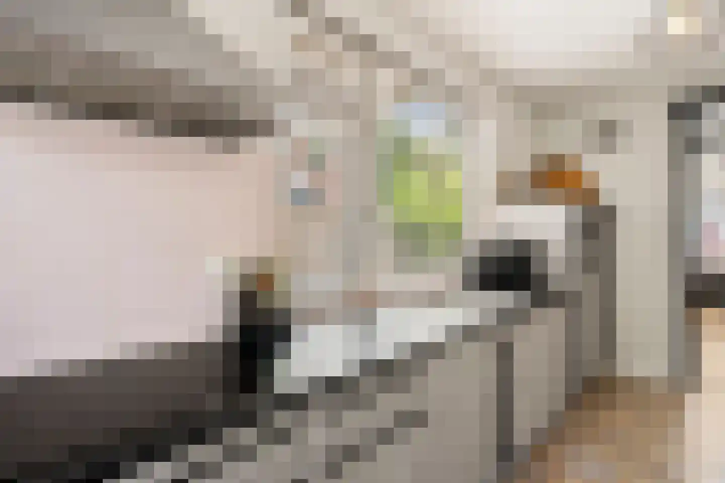 Korenlaan 30 Bennekom thumbnail 10