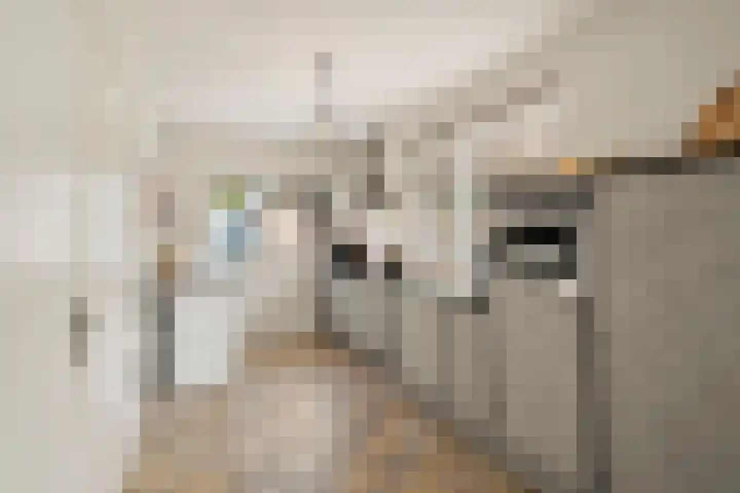 Korenlaan 30 Bennekom thumbnail 10