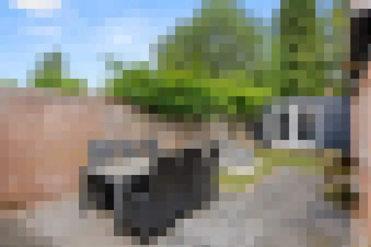 Korenlaan 30 Bennekom thumbnail 32