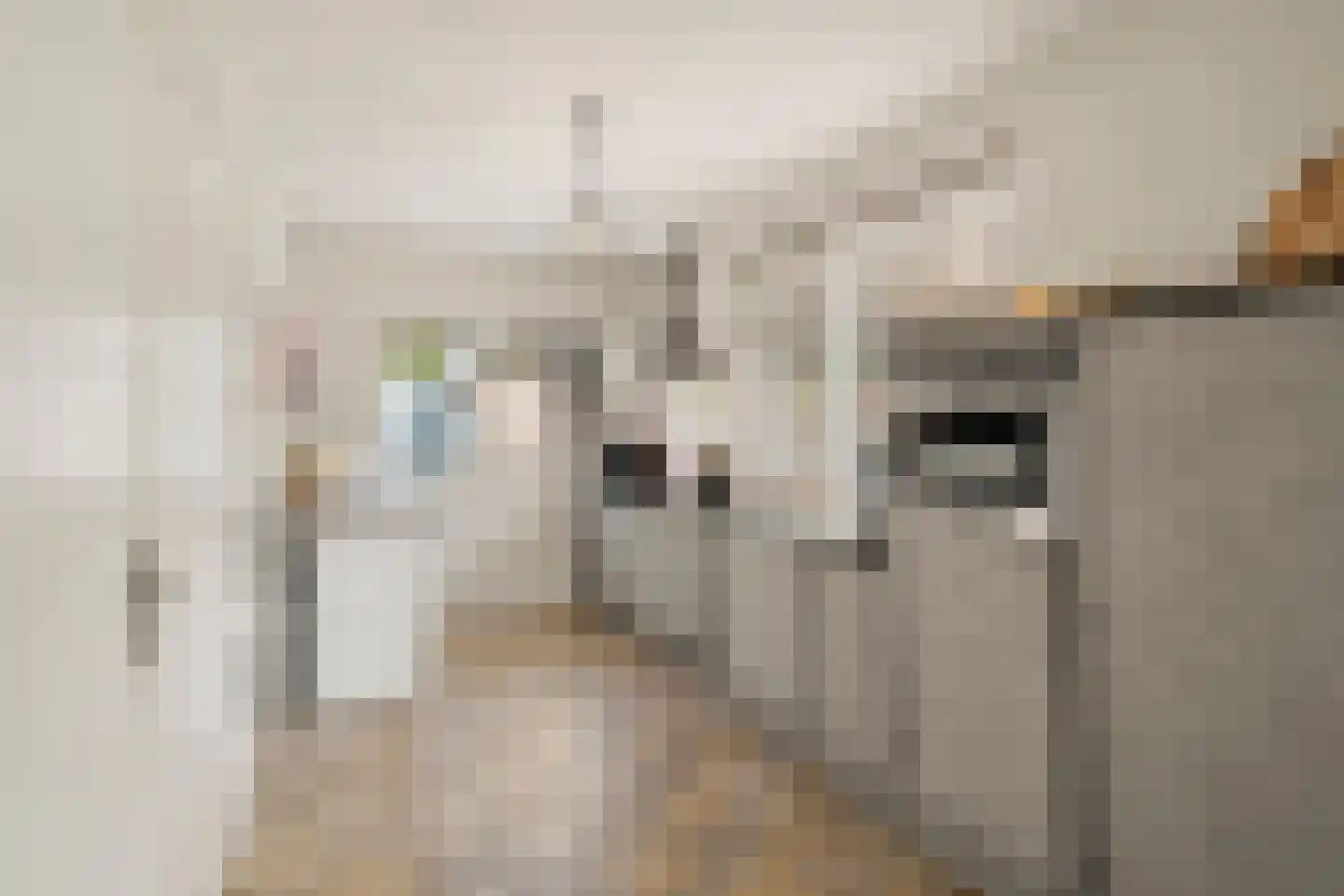Korenlaan 30 Bennekom thumbnail 9