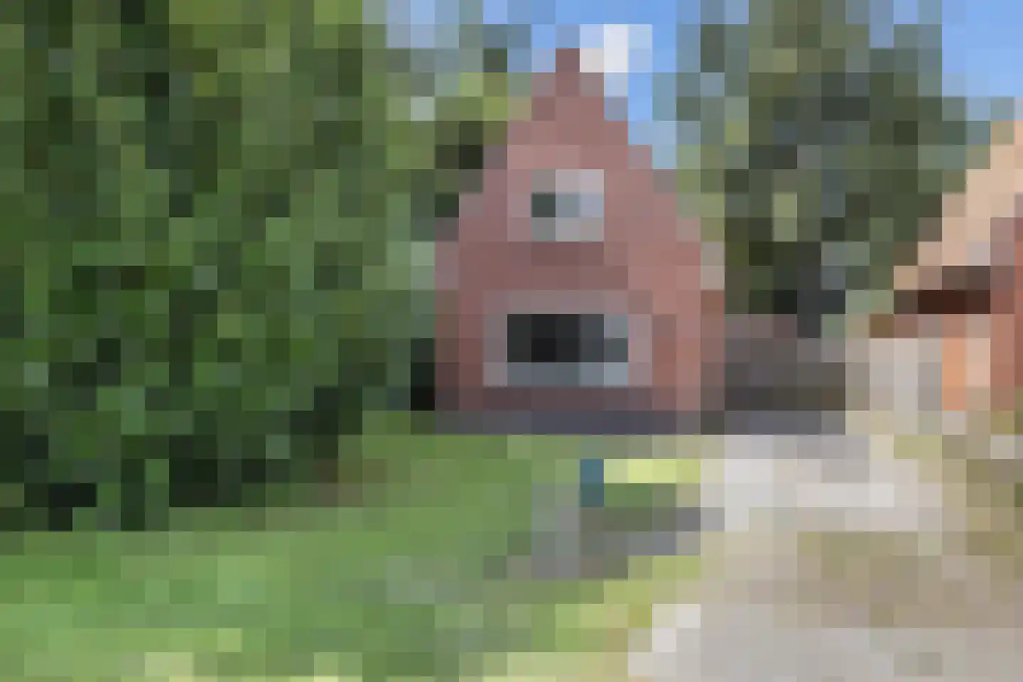 Korenlaan 30 Oude Pekela foto 2