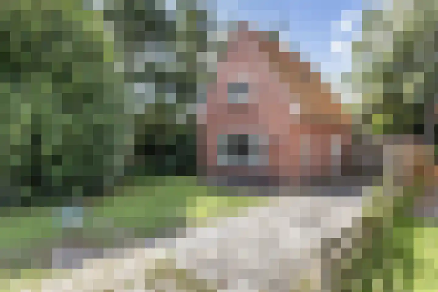 Korenlaan 30 Oude Pekela foto 3