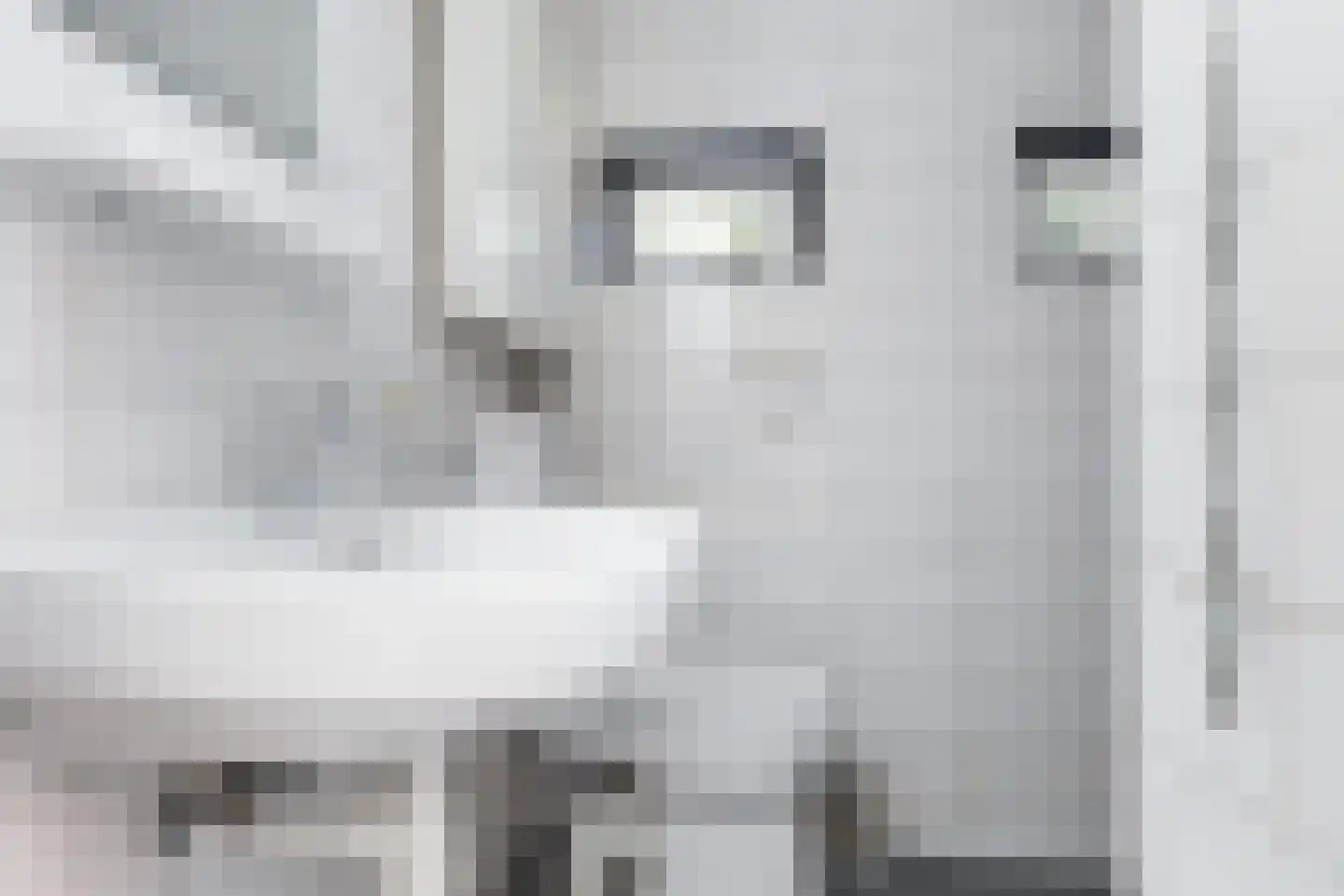Korenlaan 30 Oude Pekela thumbnail 9