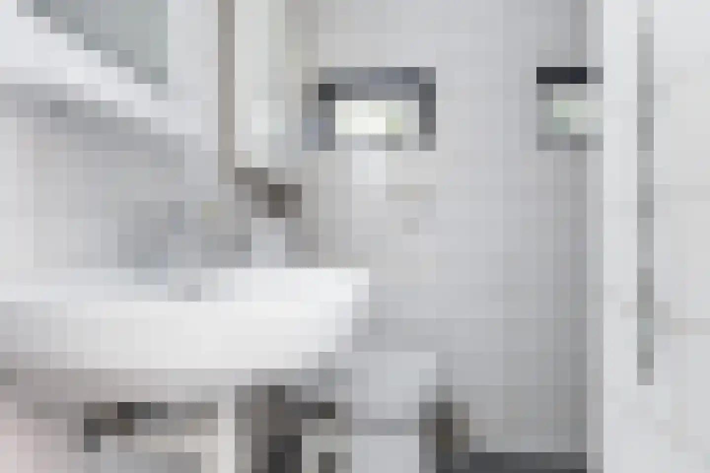 Korenlaan 30 Oude Pekela thumbnail 9