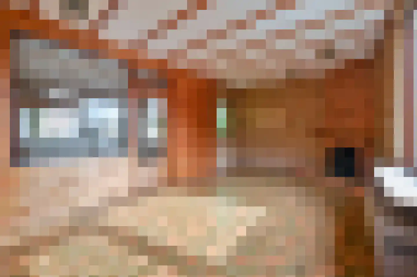 Korenlaan 6 Putten thumbnail 12