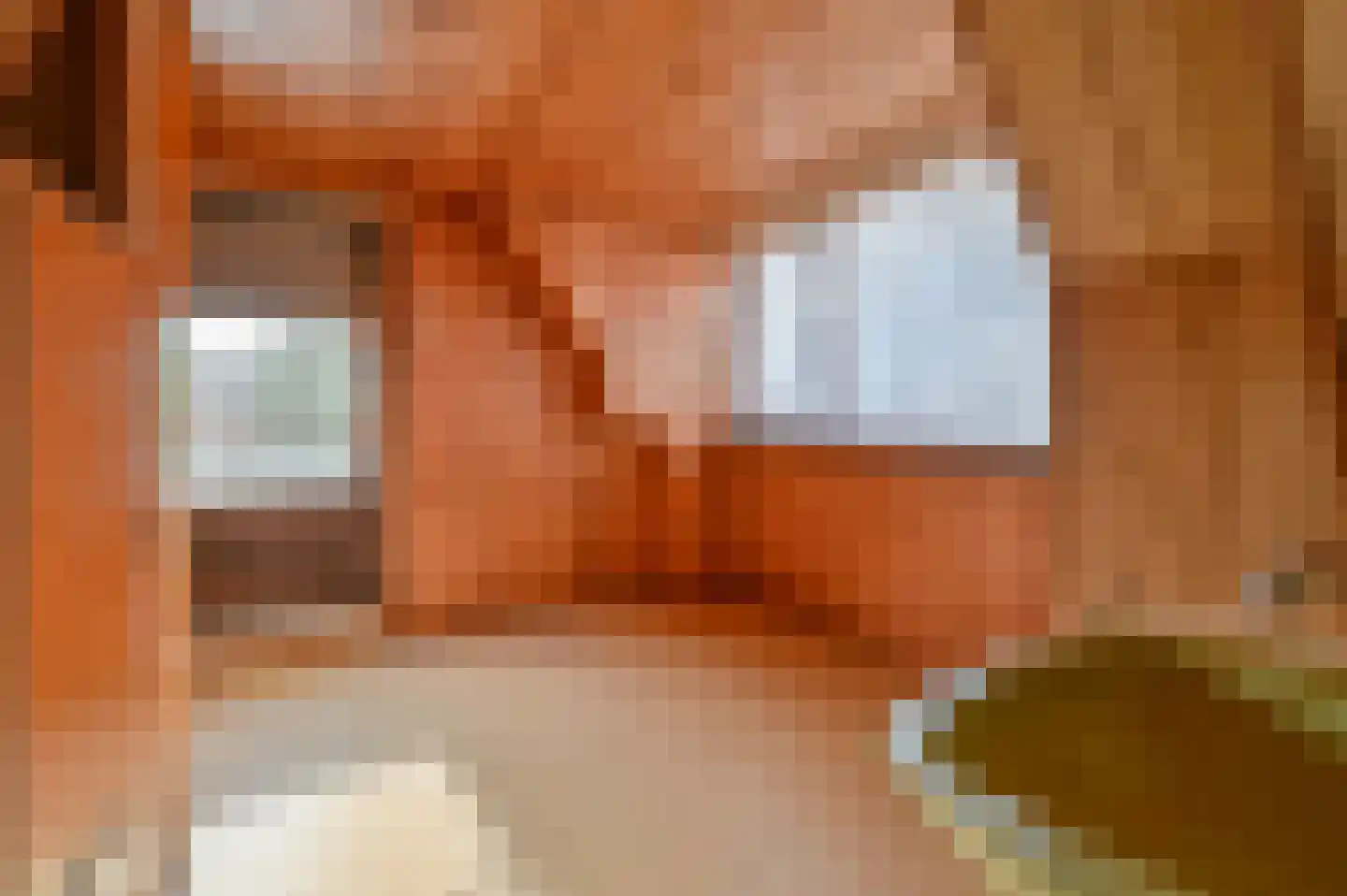 Korenlaan 6 Putten thumbnail 14