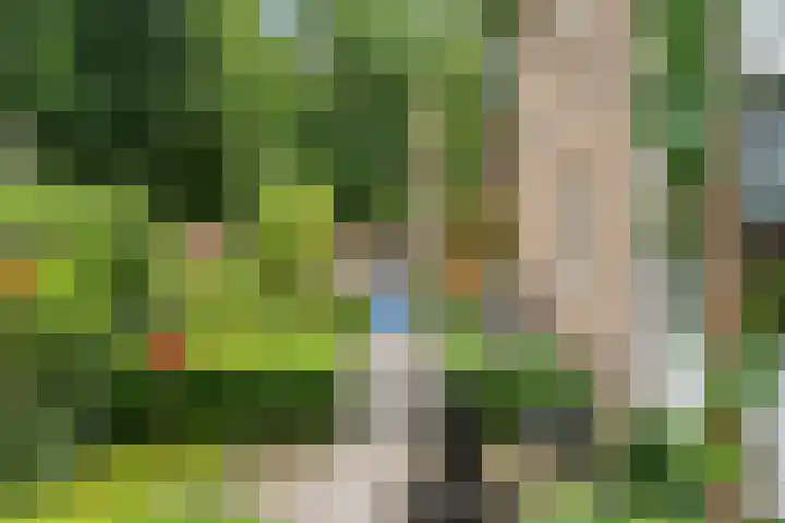 Korenlaan 64 Bennekom thumbnail 10