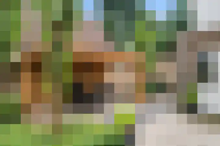 Korenlaan 64 Bennekom thumbnail 11