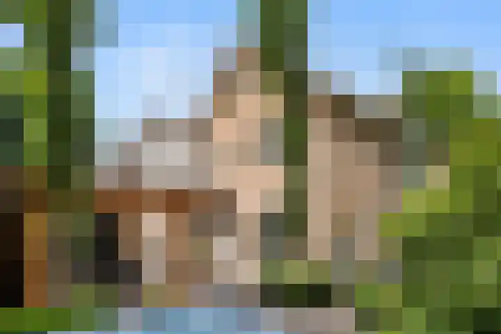 Korenlaan 64 Bennekom thumbnail 12