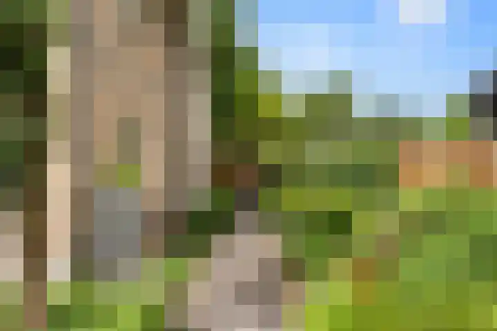 Korenlaan 64 Bennekom thumbnail 14