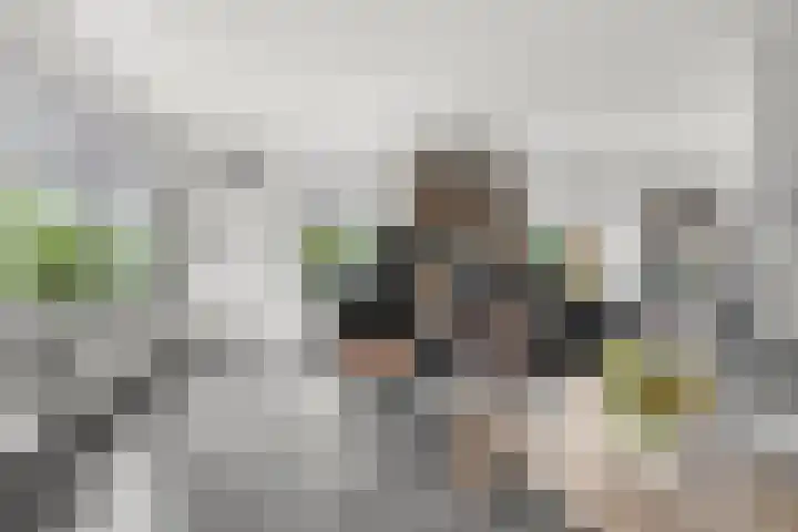 Korenlaan 64 Bennekom thumbnail 20