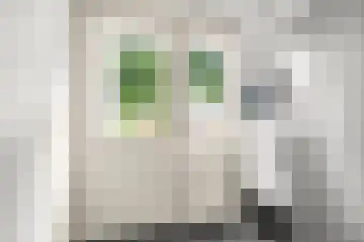 Korenlaan 64 Bennekom thumbnail 27
