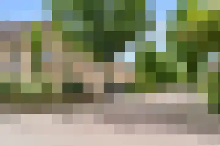 Korenlaan 64 Bennekom thumbnail 4