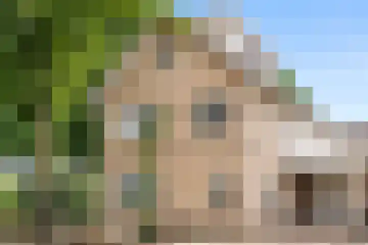 Korenlaan 64 Bennekom thumbnail 5