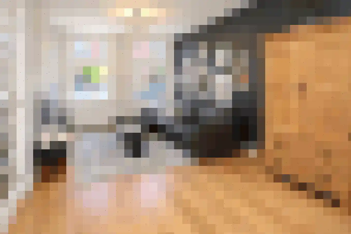 Korenlaan 8 Wassenaar thumbnail 12