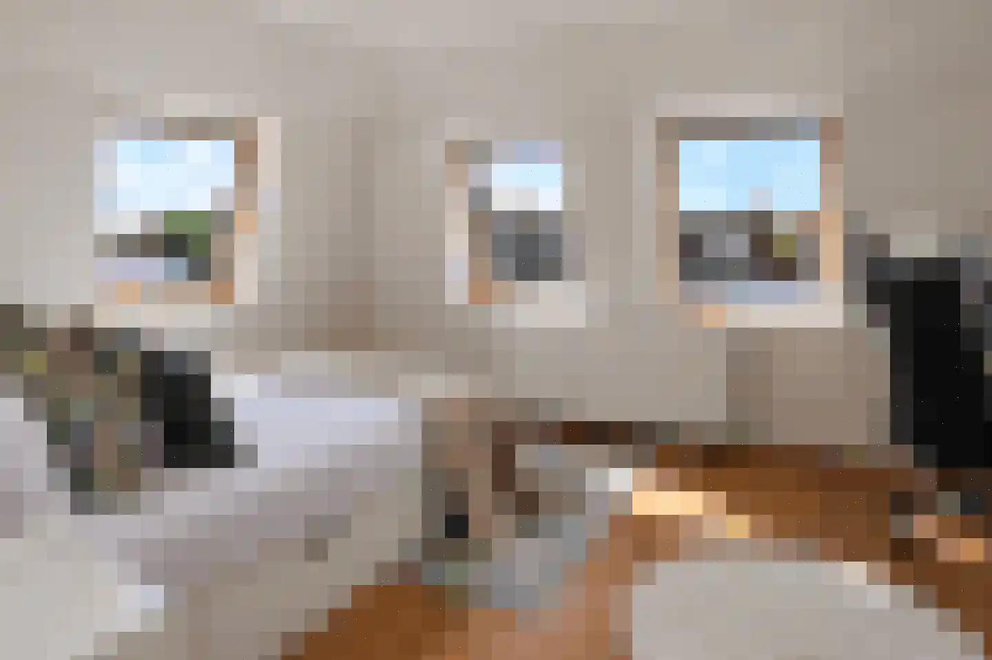 Korenlaan 8 Wassenaar thumbnail 23