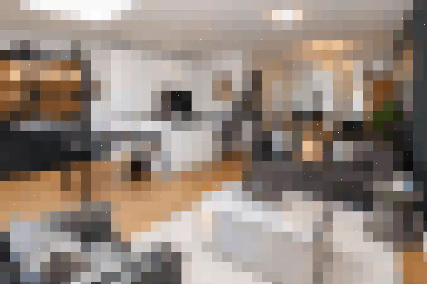 Korenlaan 8 Wassenaar thumbnail 5