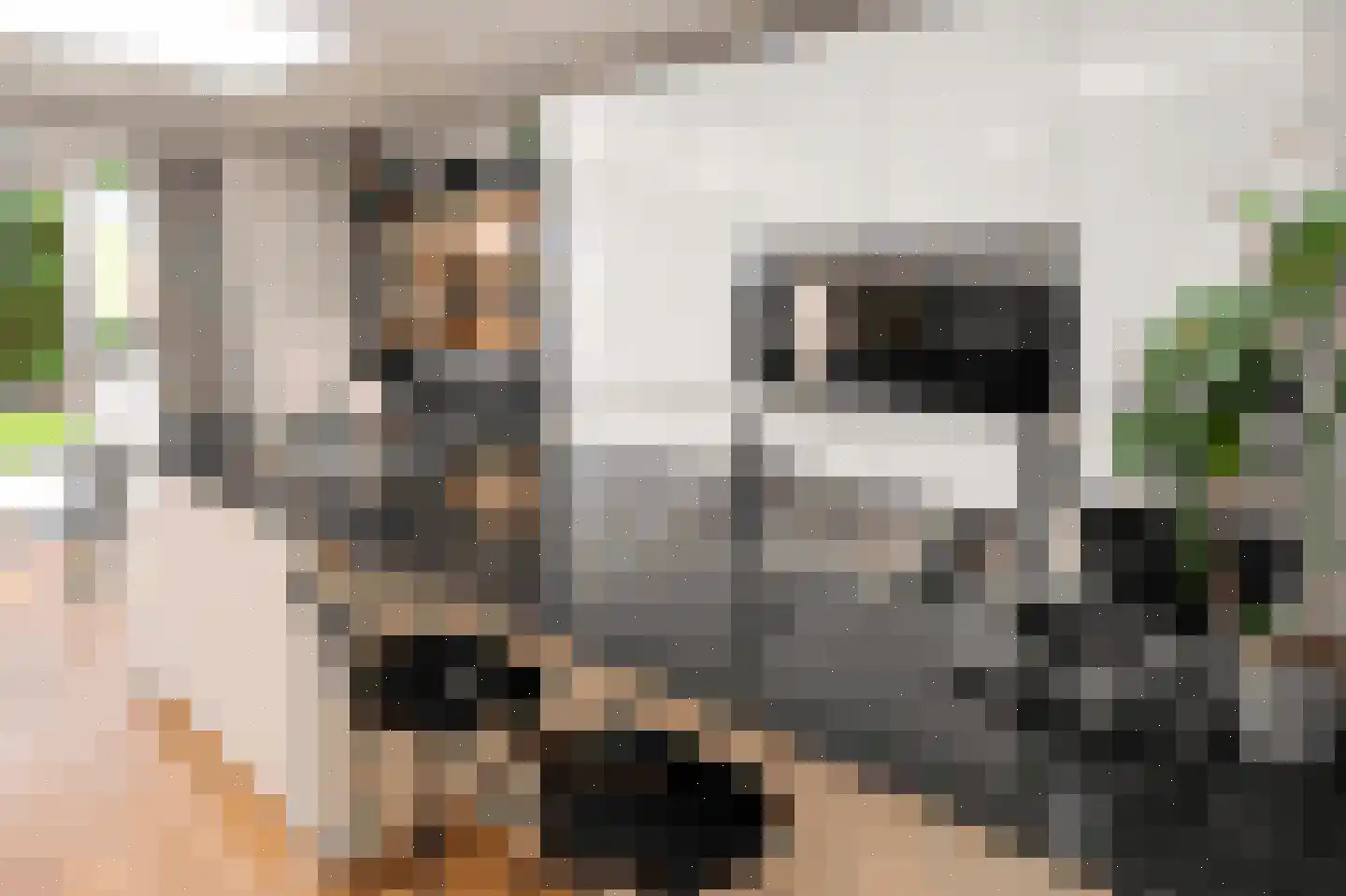 Korenlaan 8 Wassenaar thumbnail 6