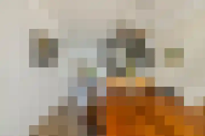 Korenland 27 Geldrop thumbnail 10