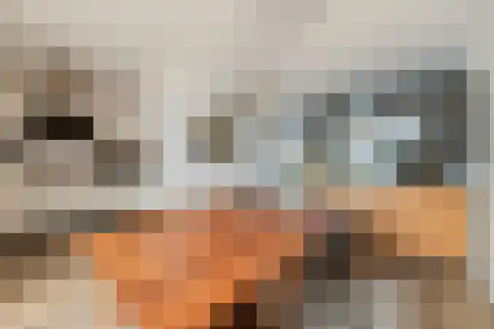 Korenland 27 Geldrop thumbnail 11