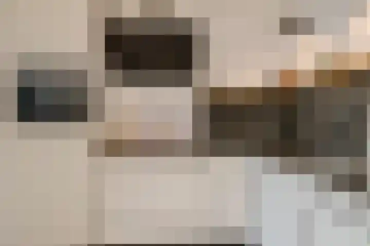 Korenland 27 Geldrop thumbnail 17