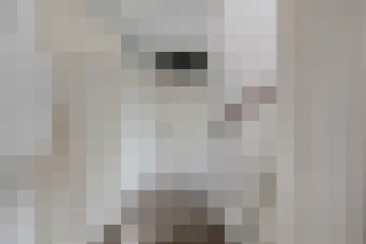 Korenland 27 Geldrop thumbnail 20