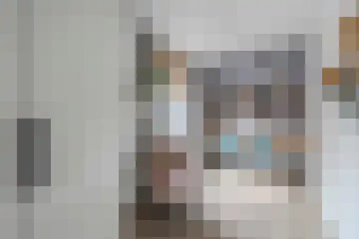 Korenland 27 Geldrop thumbnail 21
