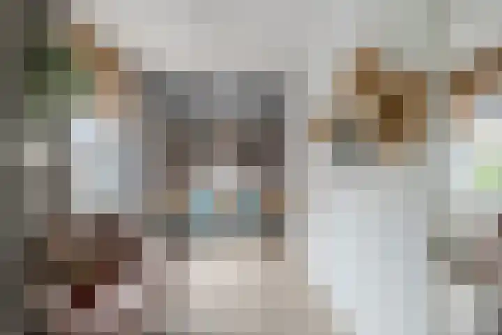 Korenland 27 Geldrop thumbnail 22