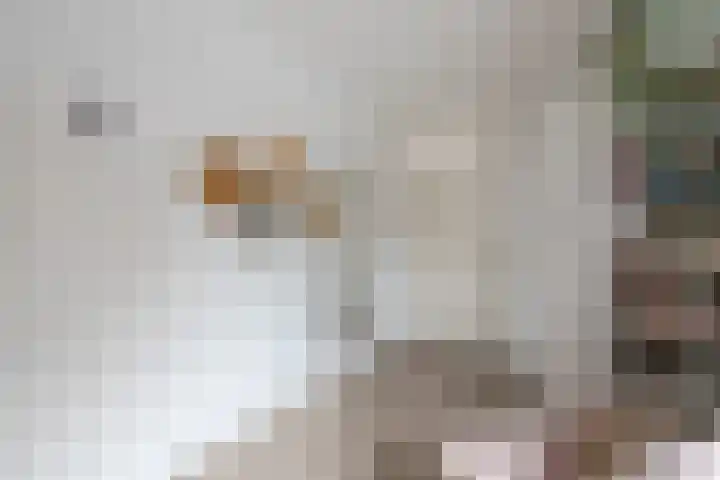 Korenland 27 Geldrop thumbnail 23