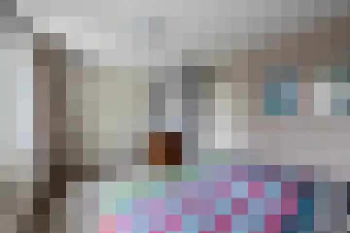 Korenland 27 Geldrop thumbnail 27