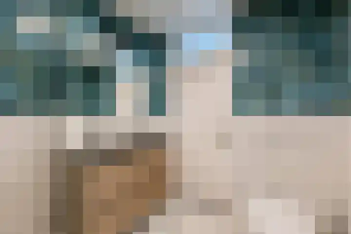Korenland 27 Geldrop thumbnail 29