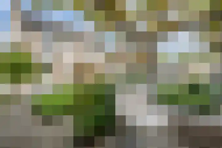 Korenland 27 Geldrop thumbnail 36