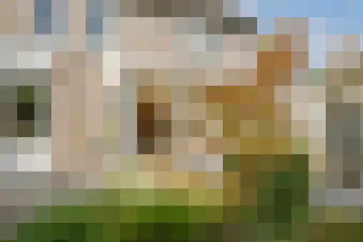 Korenland 27 Geldrop thumbnail 37