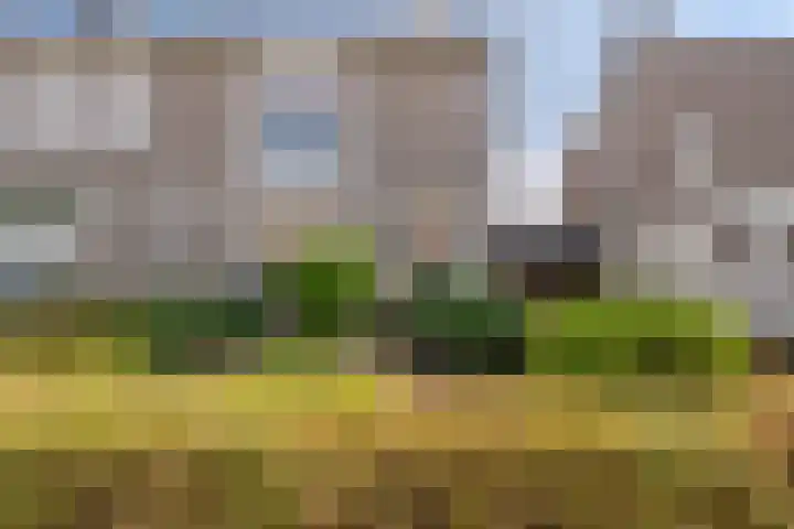 Korenland 27 Geldrop thumbnail 4