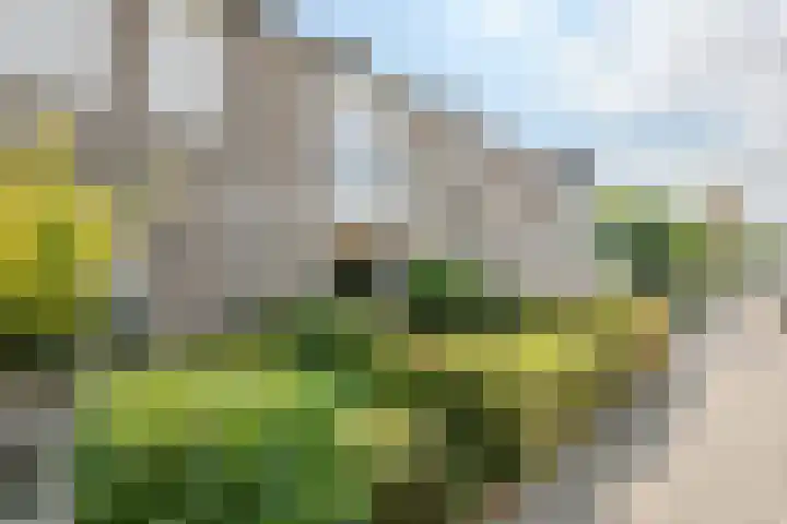 Korenland 27 Geldrop thumbnail 40