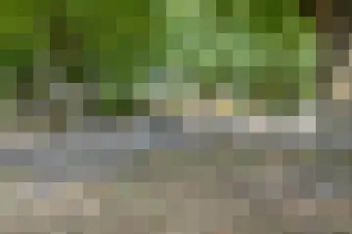 Korenland 27 Geldrop thumbnail 43
