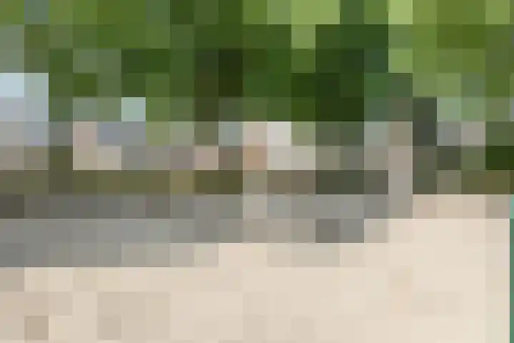Korenland 27 Geldrop thumbnail 44