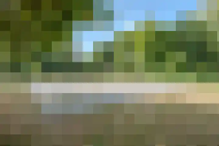 Korenland 27 Geldrop thumbnail 45