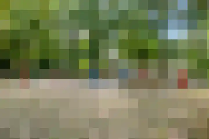 Korenland 27 Geldrop thumbnail 46