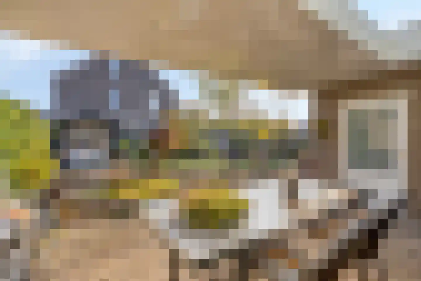 Korenland 35 Geldrop thumbnail 33
