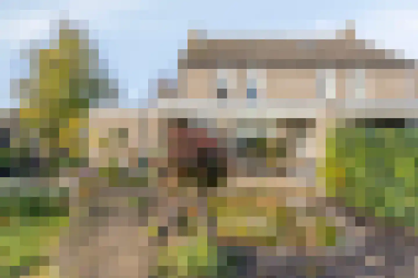 Korenland 35 Geldrop thumbnail 36