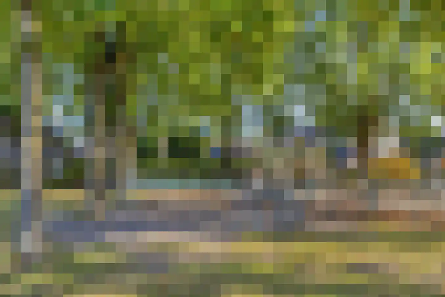 Korenland 35 Geldrop thumbnail 40