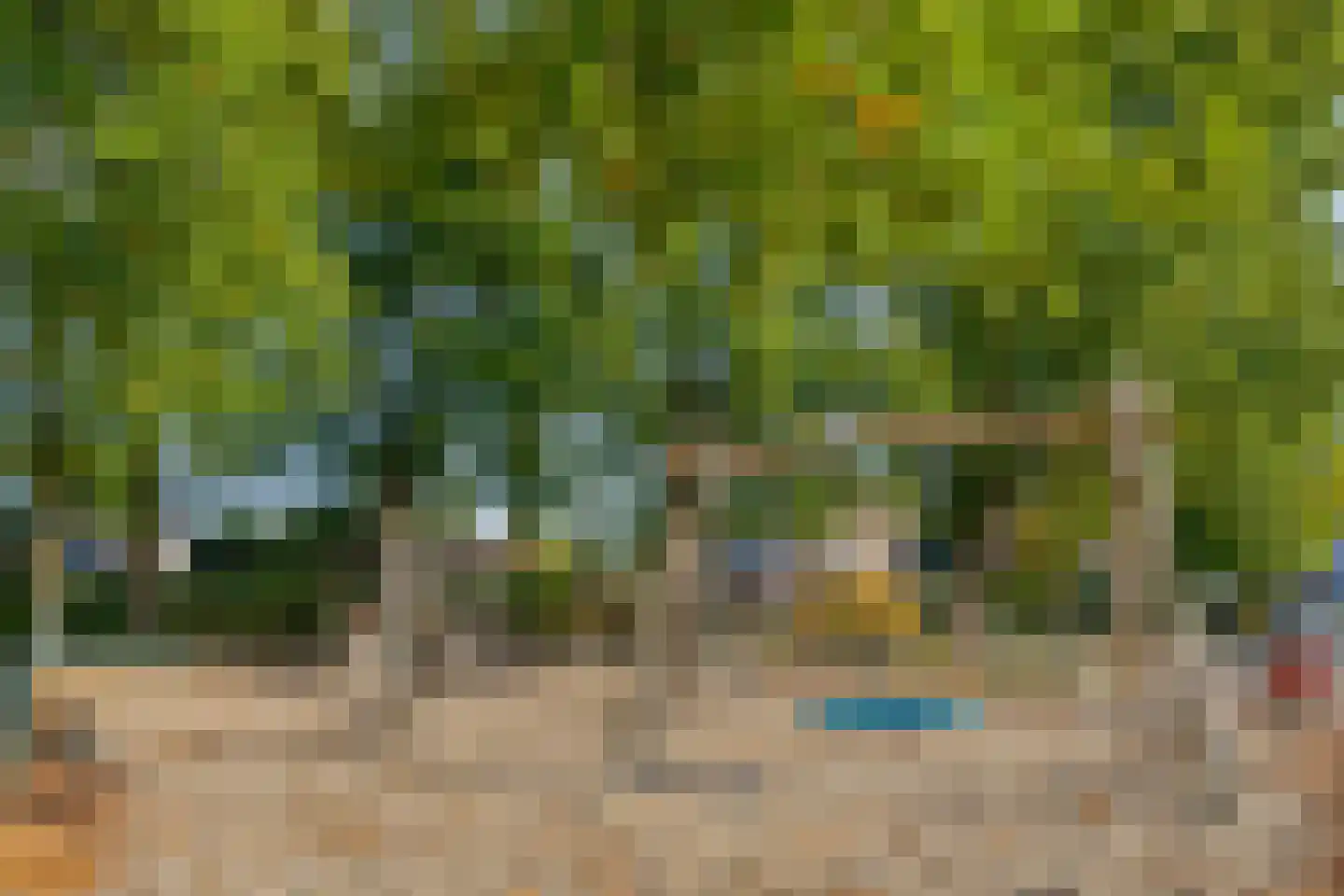 Korenland 35 Geldrop thumbnail 41