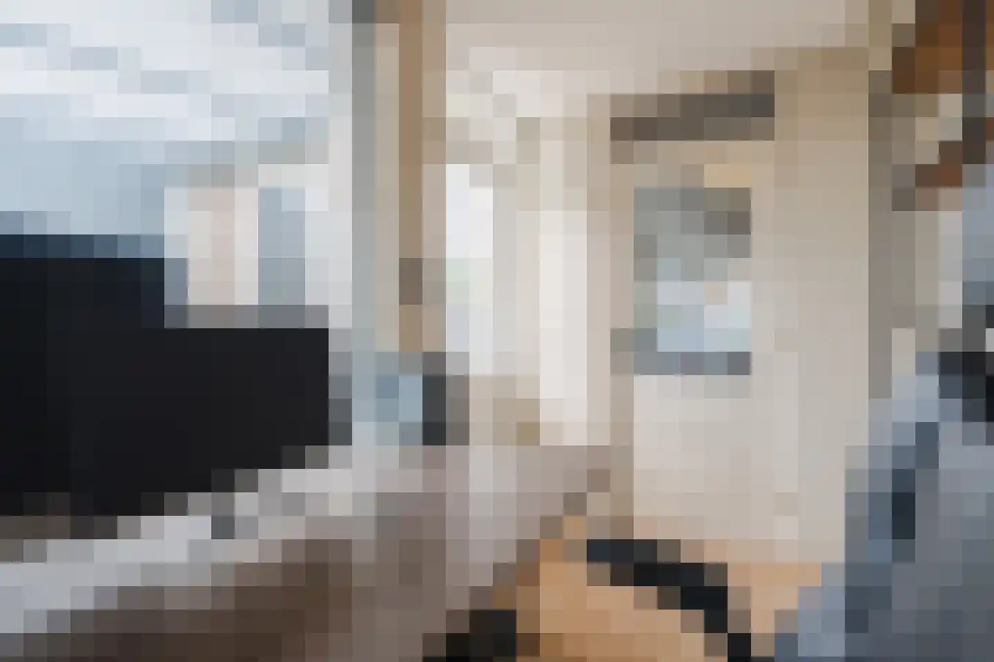 Korenland 5 Geldrop thumbnail 13