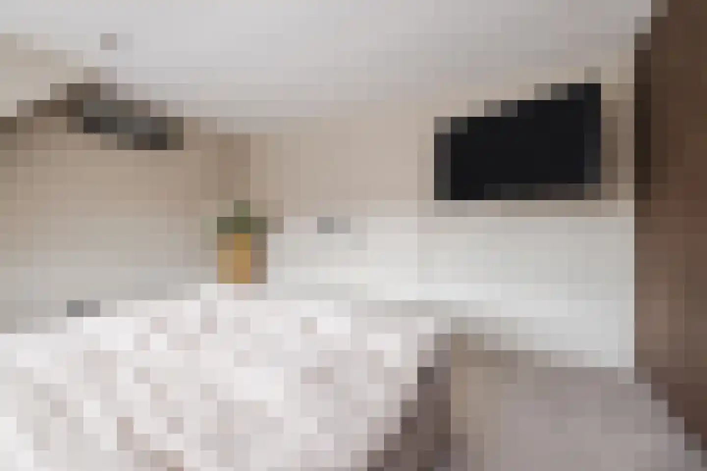 Korenland 5 Geldrop thumbnail 17