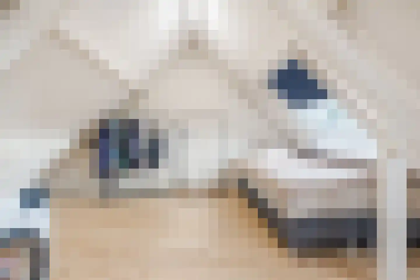 Korenland 5 Geldrop thumbnail 22