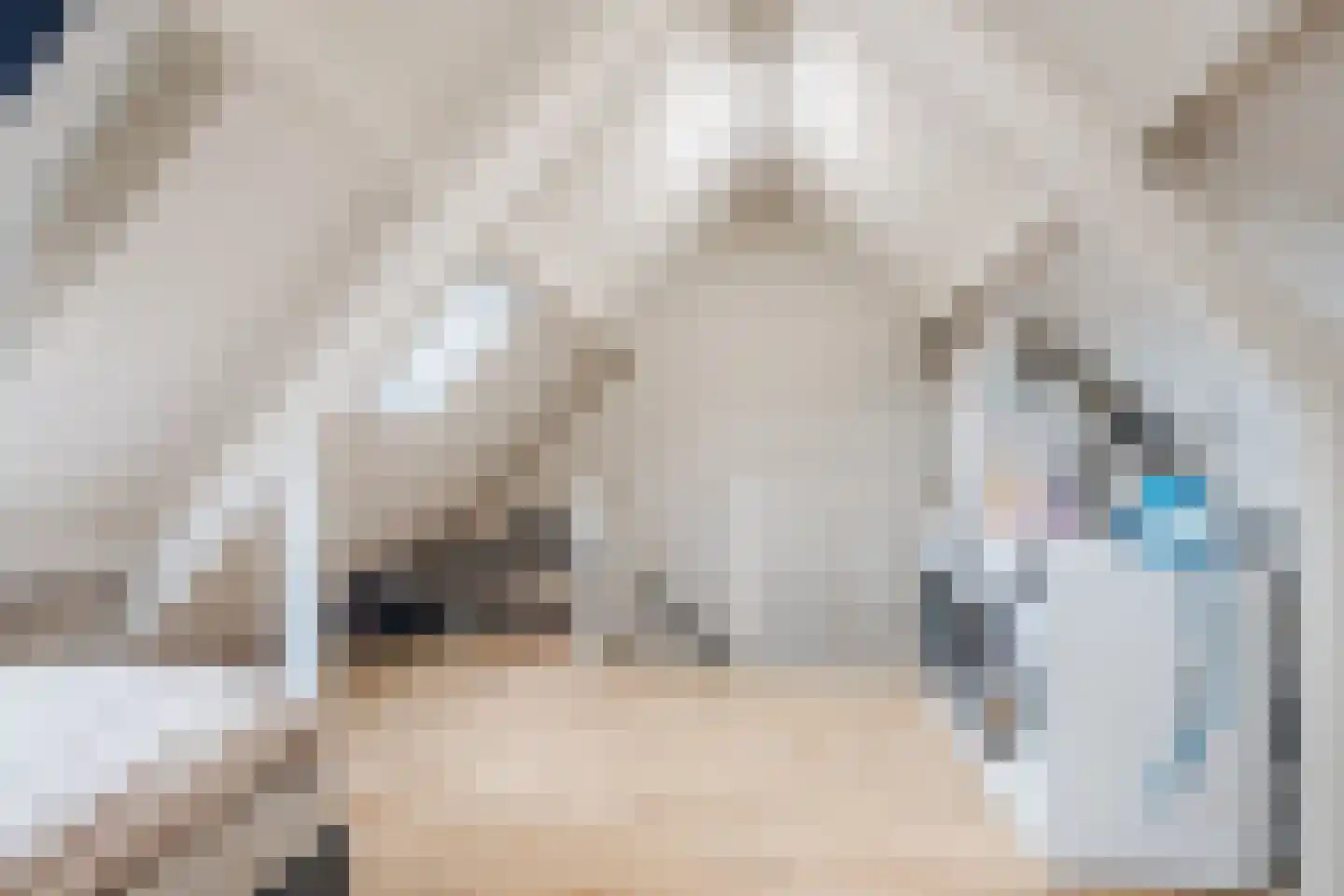 Korenland 5 Geldrop thumbnail 23