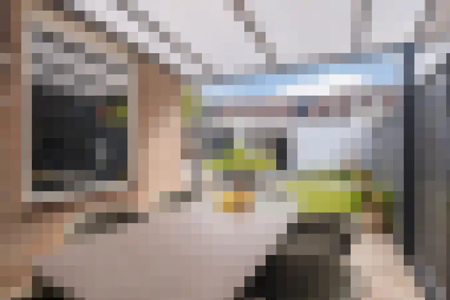 Korenland 5 Geldrop thumbnail 24