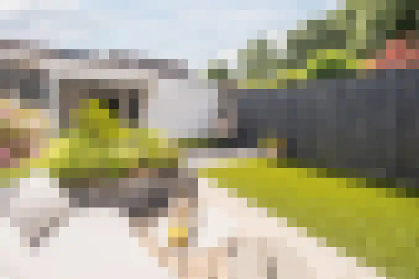 Korenland 5 Geldrop thumbnail 26