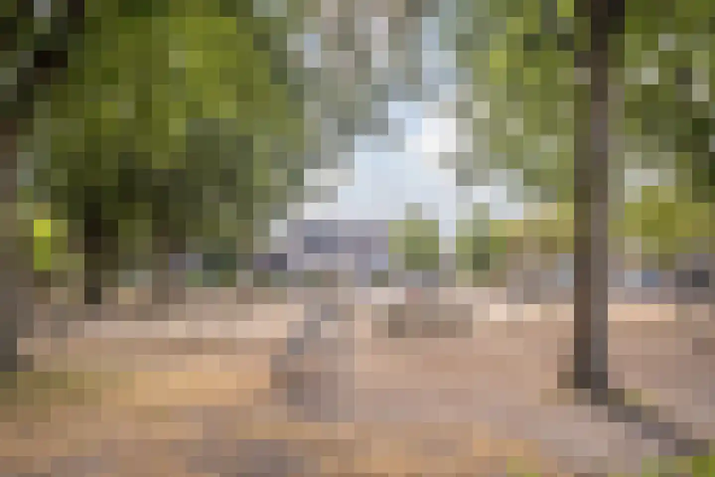 Korenland 5 Geldrop thumbnail 29